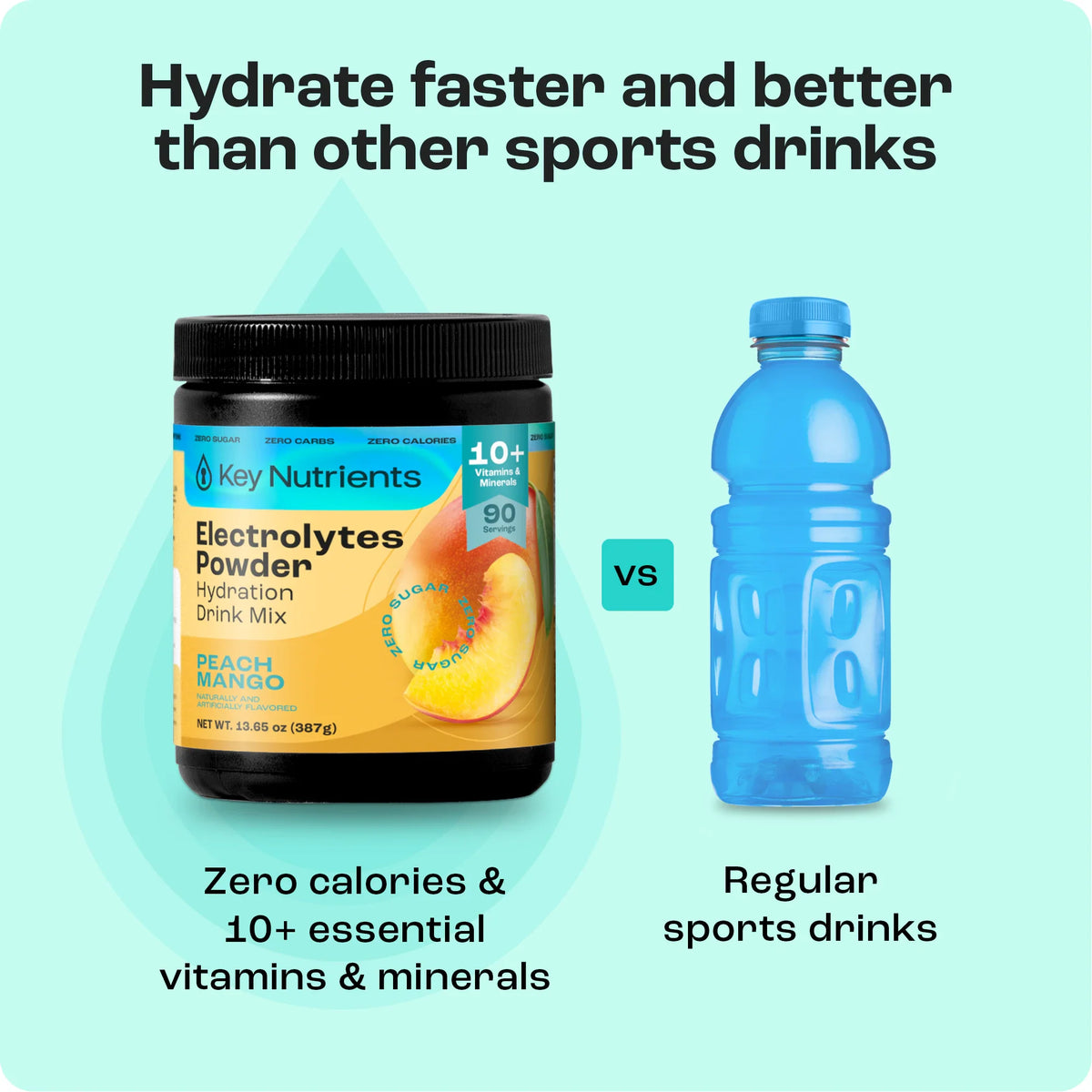 Electrolyte Recovery Plus Powder (Sugar-Free)